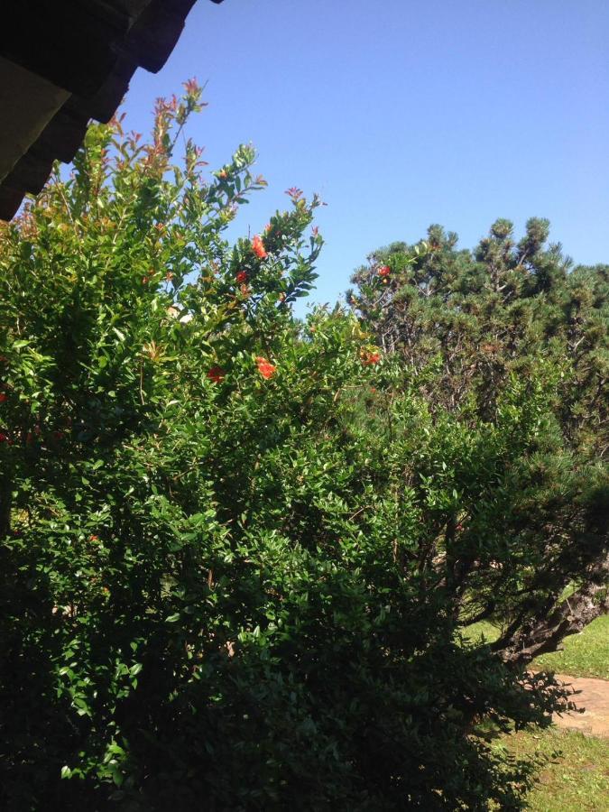 Il Melograno Cannigione Villaggio Gallura Esterno foto